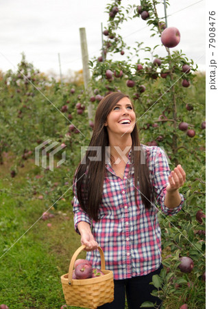 Young woman in orchard, throwing apple in the air 7908476