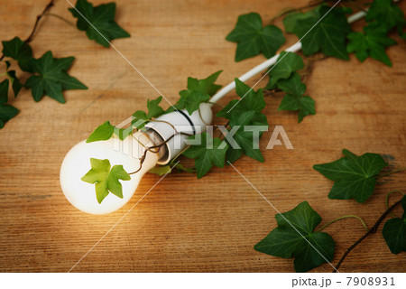 Illuminated lightbulb covered in ivy 7908931