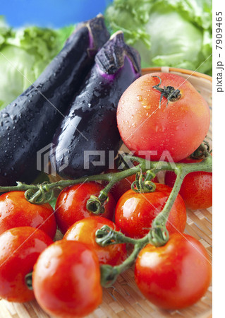 野菜集合 7909465