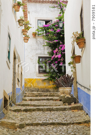 Houses in Obidos, Portugal Houses in Obidos, Portugal 7909581
