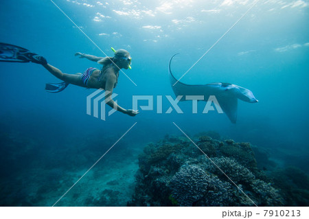 Woman snorkeling with ray underwater 7910213
