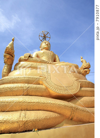 Golden buddha in phuket, thailand 7910877