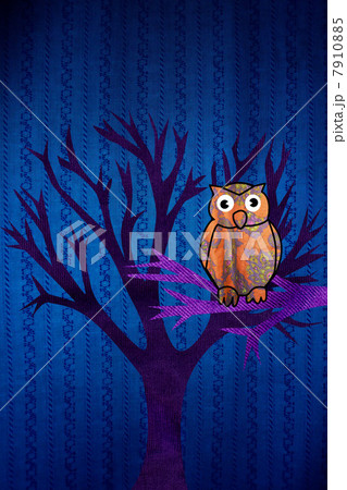 Owl perched in tree Owl perched in tree 7910885