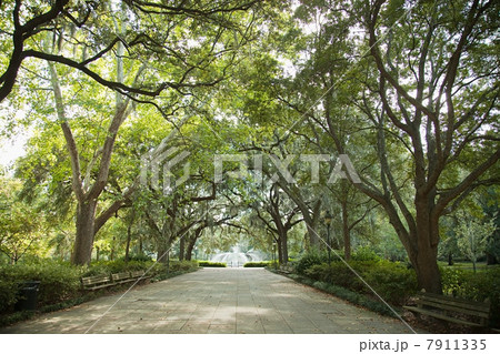 USA, georgia, savannah, forsyth park USA, georgia, savannah, forsyth park 7911335