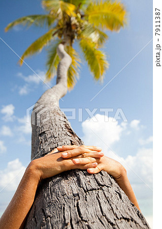 Hands together on palm tree, Maadaugalla Island, North Huvadhu Atoll, Maldives 7911387