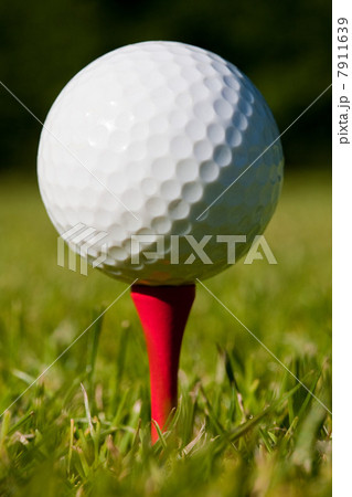 Golf ball and tee, close up 7911639