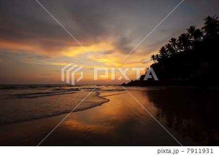 Coastline, Varkala, Kerala, India 7911931
