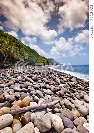 Beach at Jungle Bay Resort, Dominica, Lesser Antilles 7912022