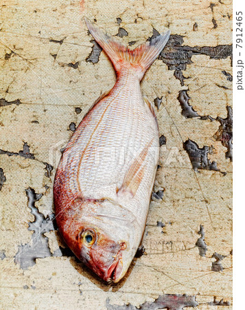 Dorade fish Dorade fish 7912465