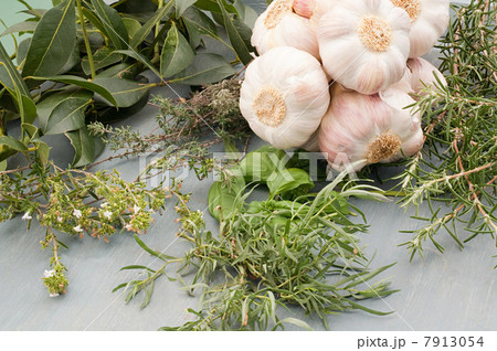 Herbs and garlic 7913054