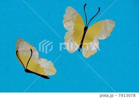 Two butterflies against blue background Two butterflies against blue background 7913078