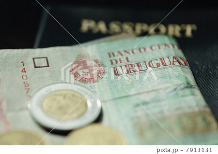 Close up of Uruguayan currency 7913131