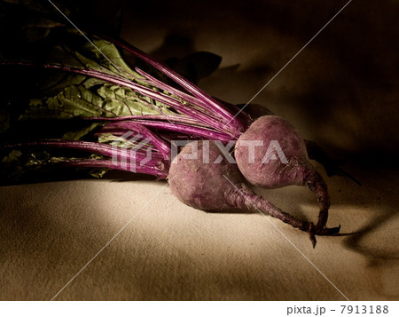 Beetroot 7913188