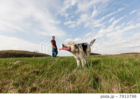 Alsatian dog with red frisbee 7913796