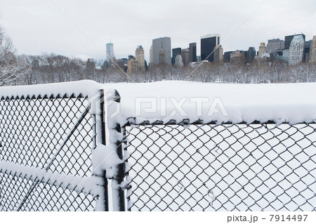 Fence, snowy urban park and skyline Fence, snowy urban park and skyline 7914497