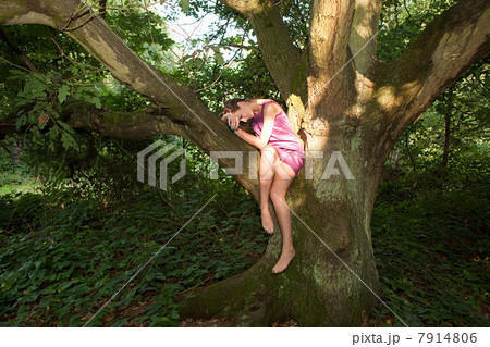 Young woman draped in an old oak tree 7914806
