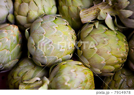 Overhead view of artichoke Overhead view of artichoke 7914978