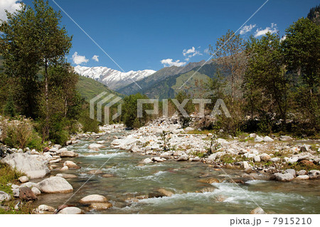 Beas River near Manali, Kullu Valley, Himachal Pradesh, India 7915210