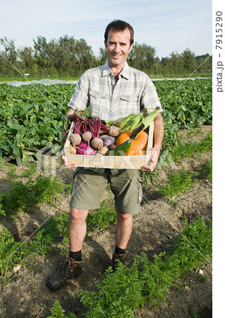 Man holding wooden create of freshly farmed vegetables 7915290