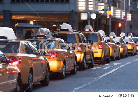 Yellow taxis in a row, New York City, USA 7915448