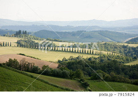 Landscape near Siena, Tuscany, Italy 7915824