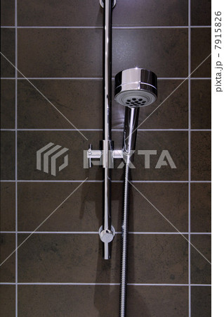 Shower head 7915826