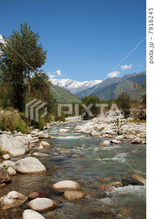 Beas River near Manali, Kullu Valley, Himachal Pradesh, India 7916245
