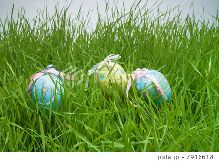Decorative easter egg hiding in grass Decorative easter egg hiding in grass 7916618