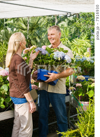 Couple choosing plants in garden centre 7916930