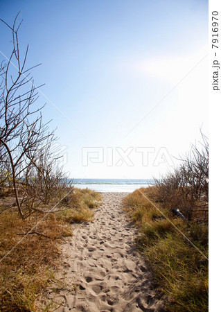 Sand path to beach, Playa Grande, Santa Cruz, Costa Rica 7916970