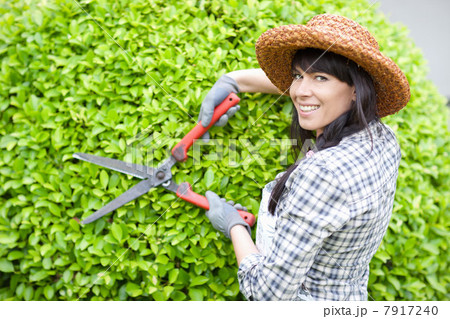 Woman trimming hedges in garden Woman trimming hedges in garden 7917240