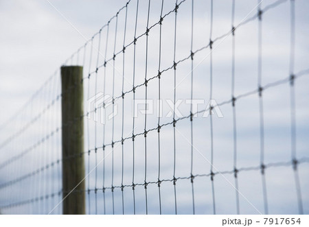 Fence 7917654