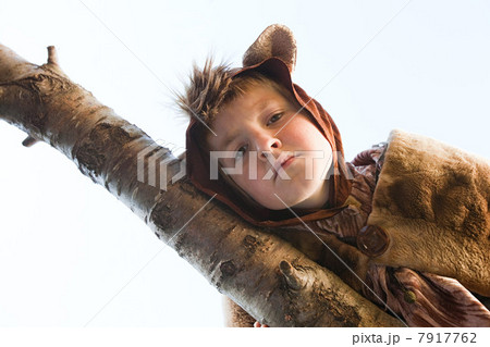 Boy dressed up as bear on tree branch 7917762