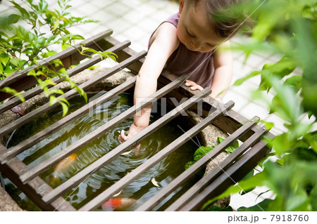 Male toddler reaching into fishpond Male toddler reaching into fishpond 7918760