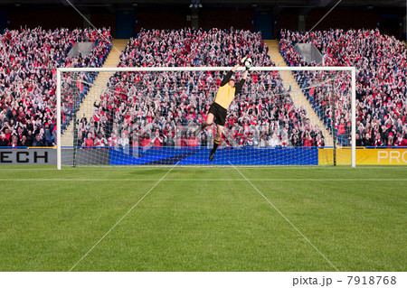 Goalkeeper saving a goal 7918768