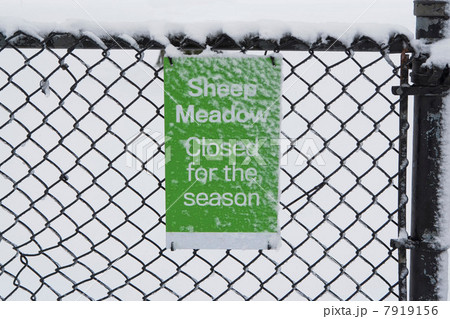 'Sheep meadow closed' sign in snow 'Sheep meadow closed' sign in snow 7919156