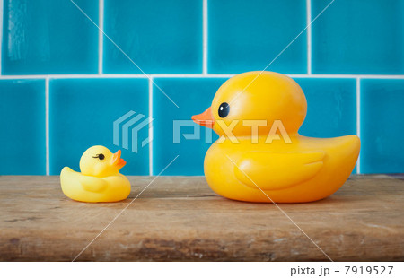 Two rubber ducks 7919527