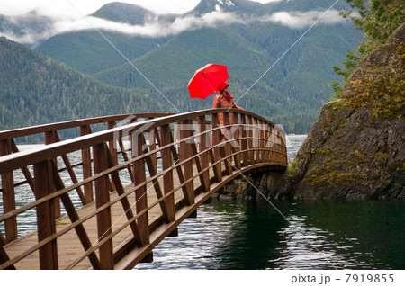 Woman with umbrella on wooden bridge 7919855