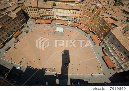 Aerial view of Piazza del Campo, Siena, Italy 7919869