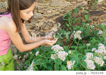Girl holding butterfly 7920149
