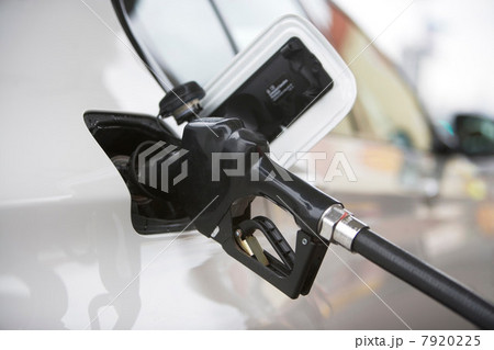 Close up of gas nozzle in tank 7920225