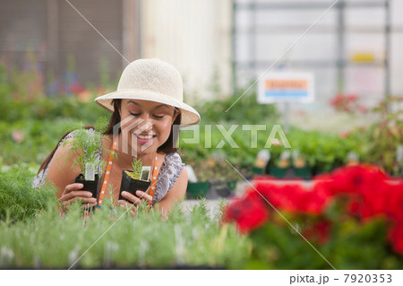 Young woman looking at plants in garden centre, smiling Young woman looking at plants in garden centre, smiling 7920353