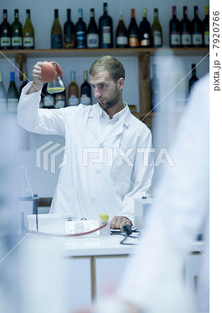 Oenologist checking laboratory tests Oenologist checking laboratory tests 7920766