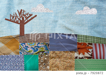 Patchwork field and bare tree 7920872