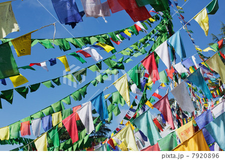 Buddhist prayer flags 7920896