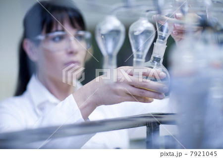 Oenologist monitoring sample testing in laboratory 7921045