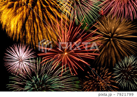 Firework display 7921799