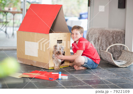 Boy building kennel for his dog Boy building kennel for his dog 7922109