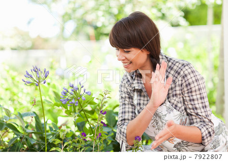 Woman examining plants in garden 7922807