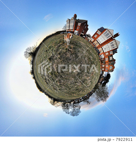 Beagle and houses with little planet effect Beagle and houses with little planet effect 7922911